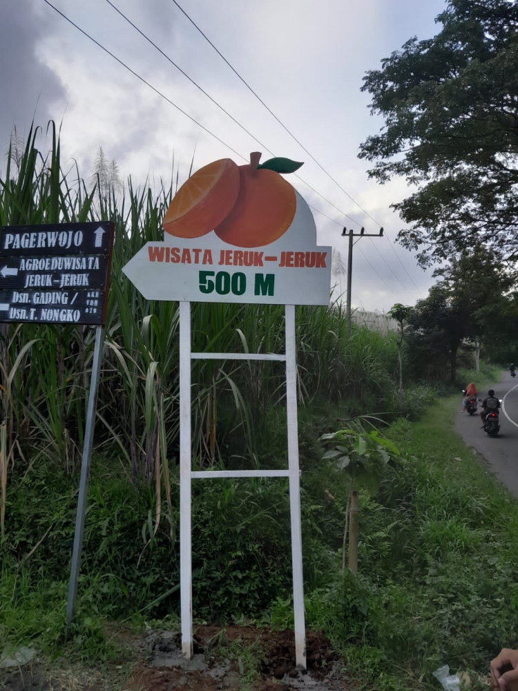 Membangun Desa Bercerita: Mahasiswa Akuntansi Universitas Negeri Malang Membuat Papan Petunjuk  Ke Wisata Jeruk-Jeruk Desa Samar Guna Capai SDGs